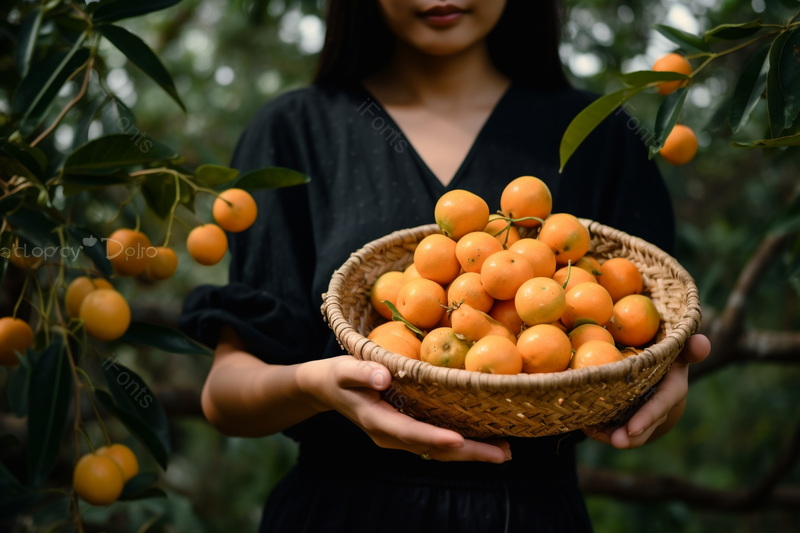 黑色连衣裙枇杷水果农业果园摄影图,高清,摄影图,摄影图片,图片大全,摄影图免费下载